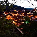 Hotel Waldhaus Forbach