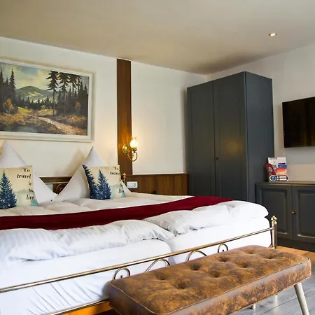 Waldhaus Hotel 3*