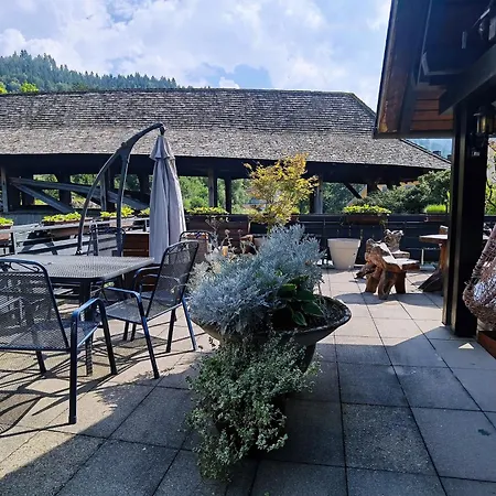 Waldhaus Hotel 3*