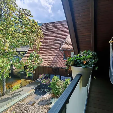 Waldhaus 3* Forbach