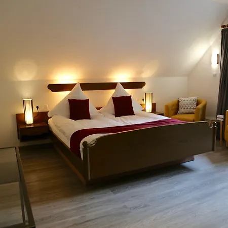 Отель Waldhaus 3*