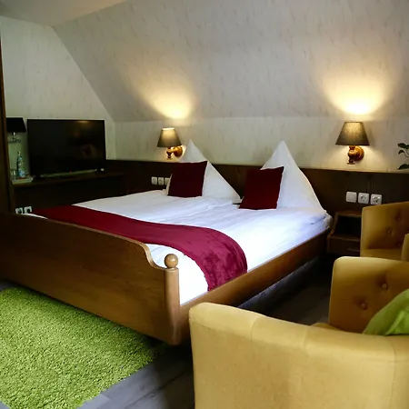 Отель Waldhaus 3*