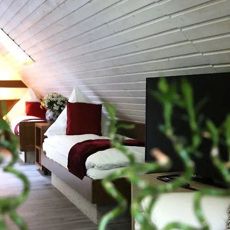 Отель Waldhaus 3*