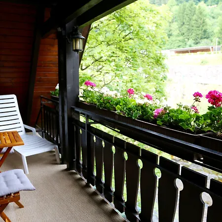 Отель Waldhaus Форбаш