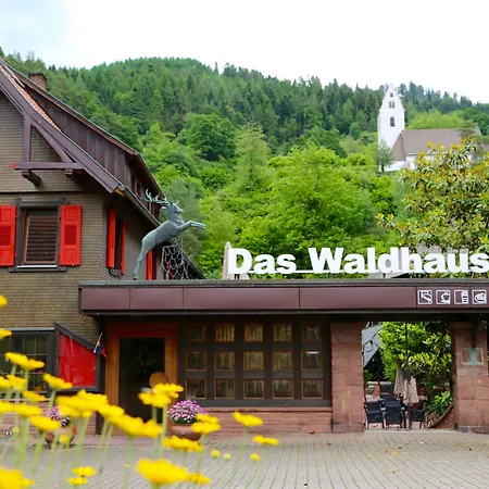 Waldhaus 3*