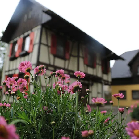 酒店 麓舍 福尔巴克