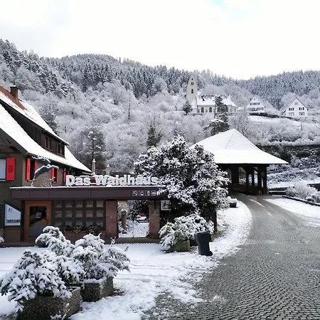 Hotel Waldhaus 3*