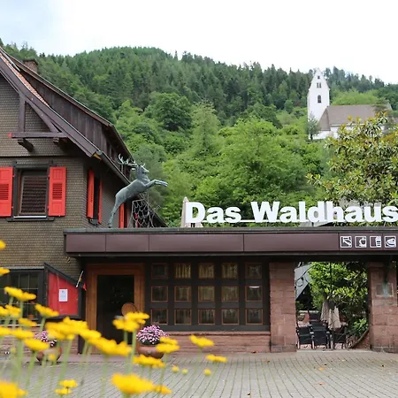 Waldhaus 3* Forbach