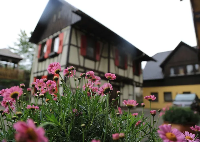 Hotel Waldhaus Forbach